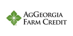 https://www.aggeorgia.com/loans/home